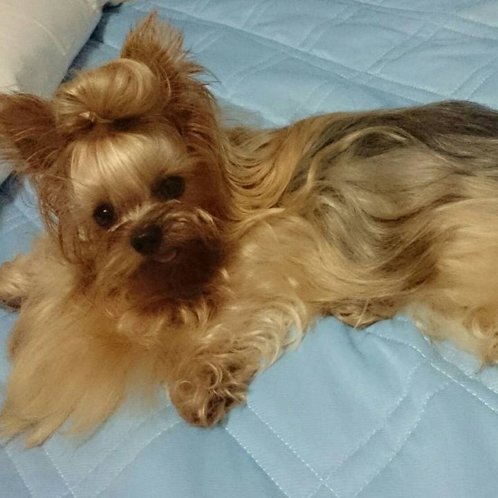 B22904b1 6365 44bf b2ff 8414a3e1a94e