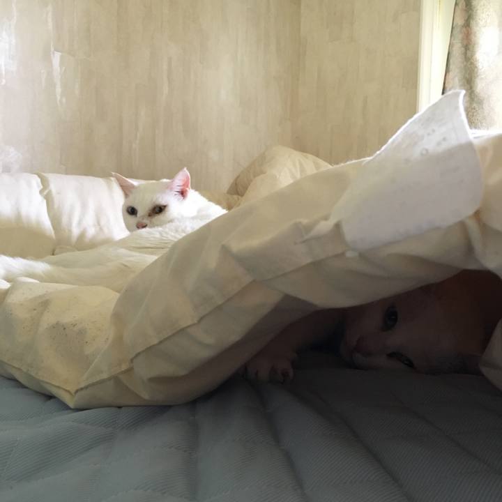 B22905cc 6700 48f0 bbfc 88f7f17f281f