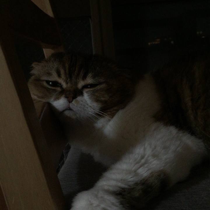 B229a4be 933c 41c7 9e06 939bd51fea28