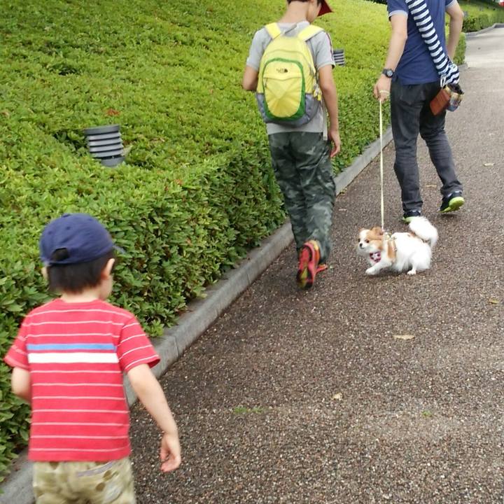 B22a4db0 8e9a 4d73 b499 4601539a3204