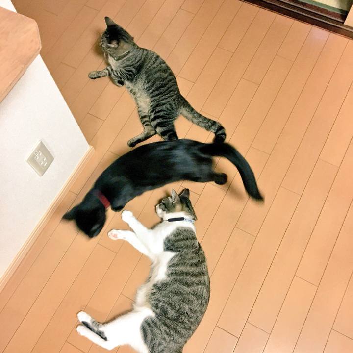 B22b1a05 bfbb 4dab 8c16 c1657429e4a1