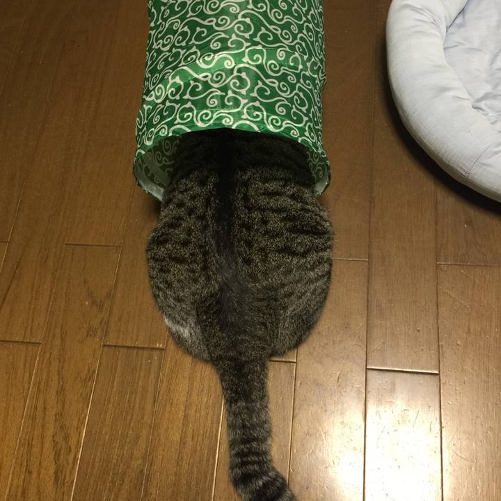 B22b6292 8e8f 4dd4 9bed 0e4938b72033