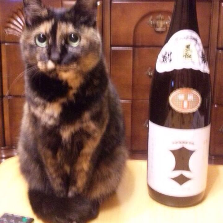 B22bc4a1 7ca1 486c 8779 ce7be9d2f95d