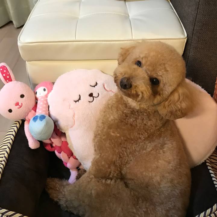 B22becd8 8fa7 4cce 8ffd 2c5c3767d516