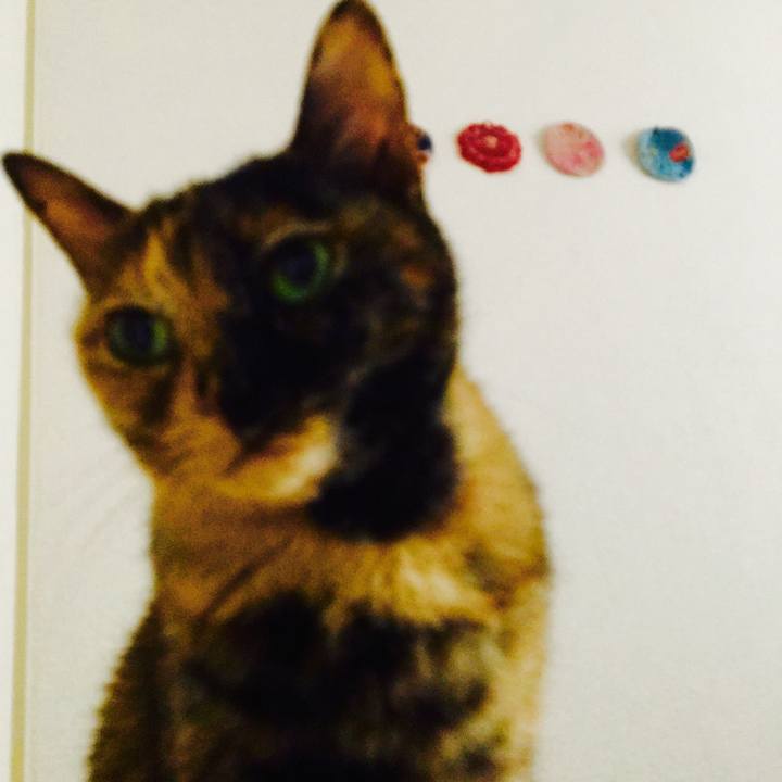 B22c26f0 ed43 4efa 9494 b4975b92be8c