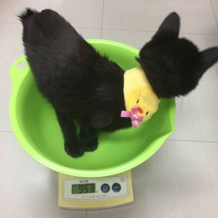 B22d41ab 18aa 4488 b469 fdae46a39002