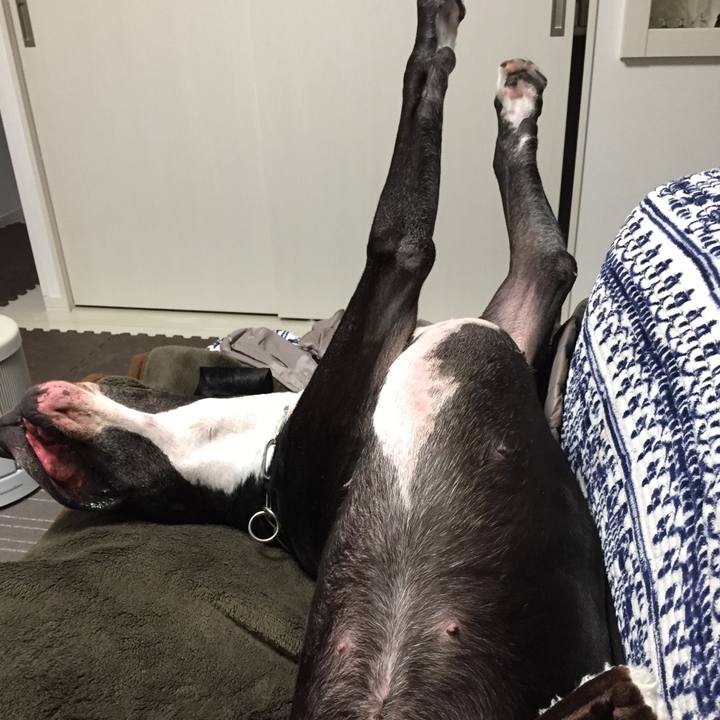 B22d4eb2 6133 4343 8a3b 73c3d9bb0653