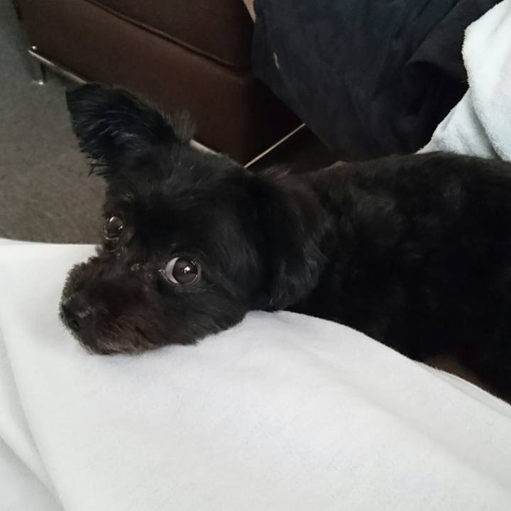 B22dee84 7303 4ed3 9201 0aed1b93d7de