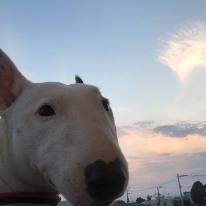 B22e77e1 170f 4e07 93bb 8e3afd3d63d0