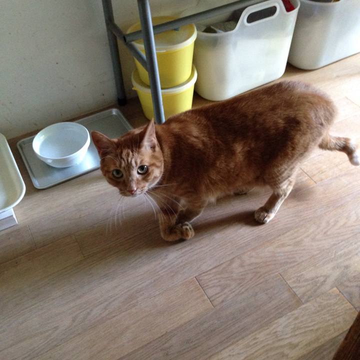 B22e85f2 5f7e 4d9b 89fa 8f6cd925b76e