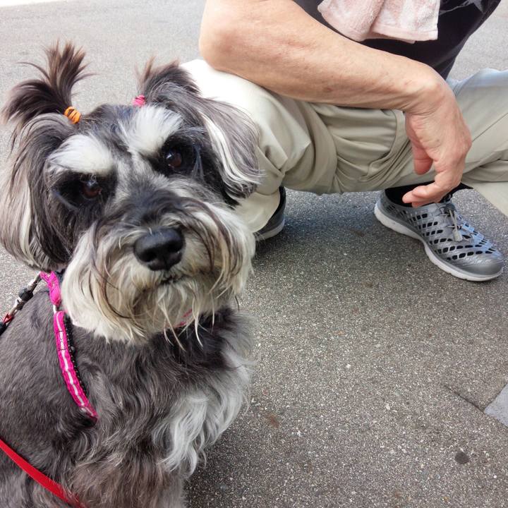 B22eebb9 9b1a 4326 b253 0e35c436b31e