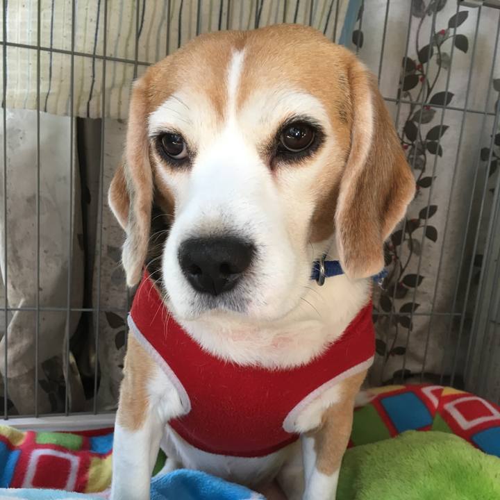 B22ef955 e80e 4a8f aece 07096b99fbfa