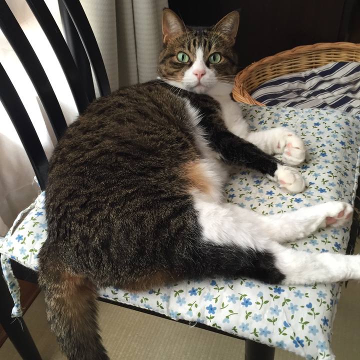 B22f582c 5c31 40ad 8356 40f10cc5170e