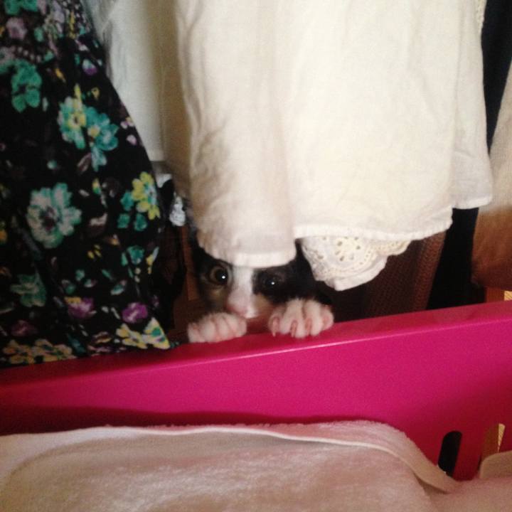 B22fc688 e49f 4699 be5c 08287ed6f39e