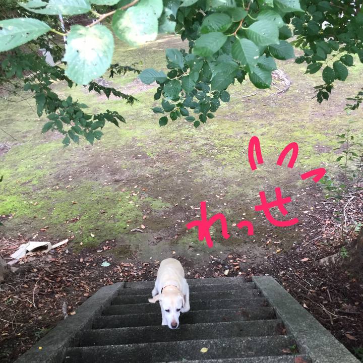 B2300a06 1ad3 487b 92b2 9cce06cc2530