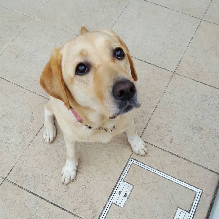 B2303cf6 d529 4162 bc70 fafbf0c9873c