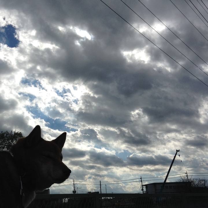 B2309522 a2c1 4193 96d2 e1a8557e1fb4