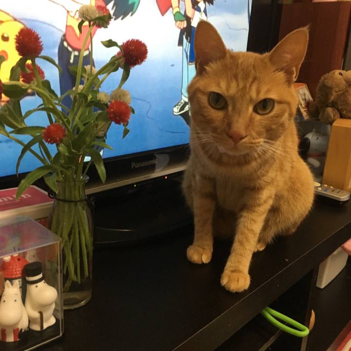 B230bd0e f690 4ba1 a350 e1a333ecb454