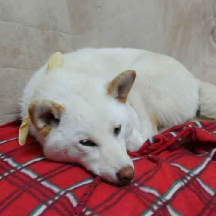 B2311471 fb40 4c5d afe1 d84a75f9b817