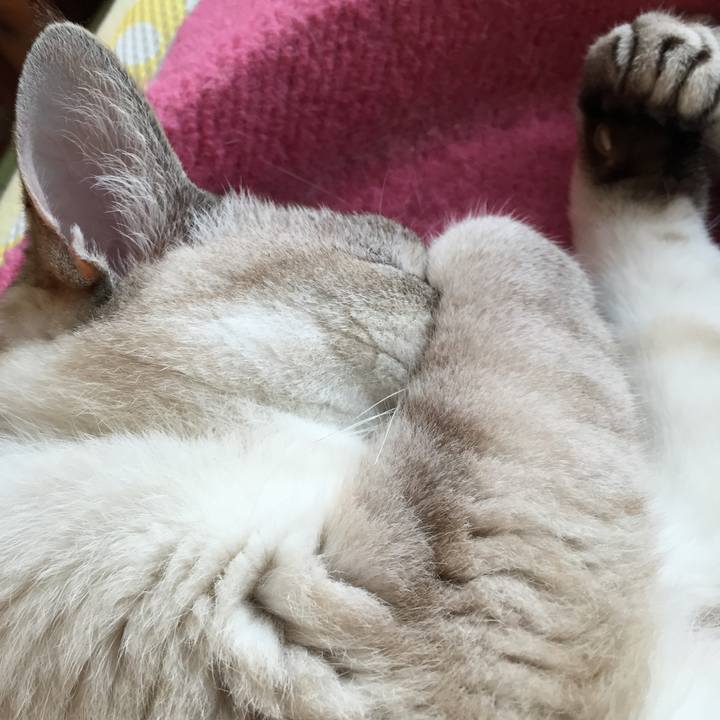 B231a354 5e63 449a a38c 0b636f7f887f