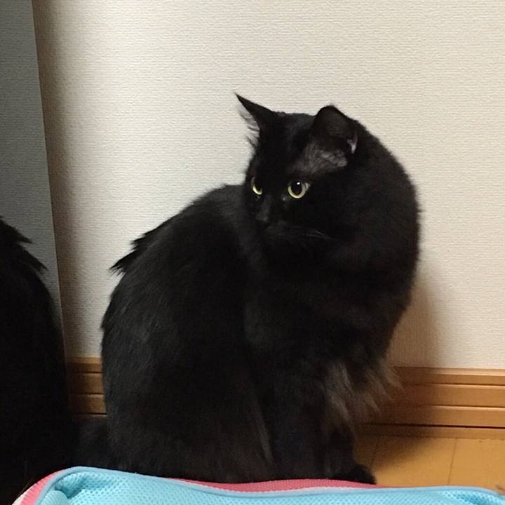 B231e211 edcb 4d97 8784 211efadeee56