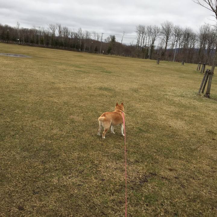 B232ab91 12c1 4c55 8783 2fd9d44abc90