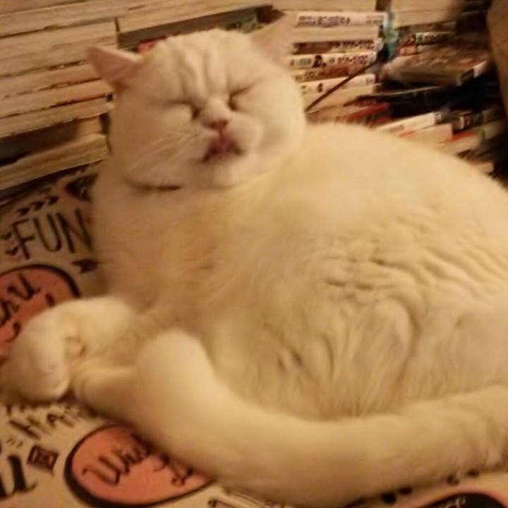 B23526df 8348 4d05 a1c6 70a479605b18