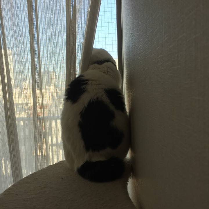 B235c3e2 de51 4dcb 96d2 5a612a228e96