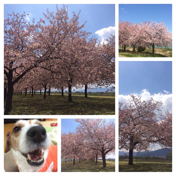 B235dcbe df84 4219 b1a6 eeaf3658f5ba