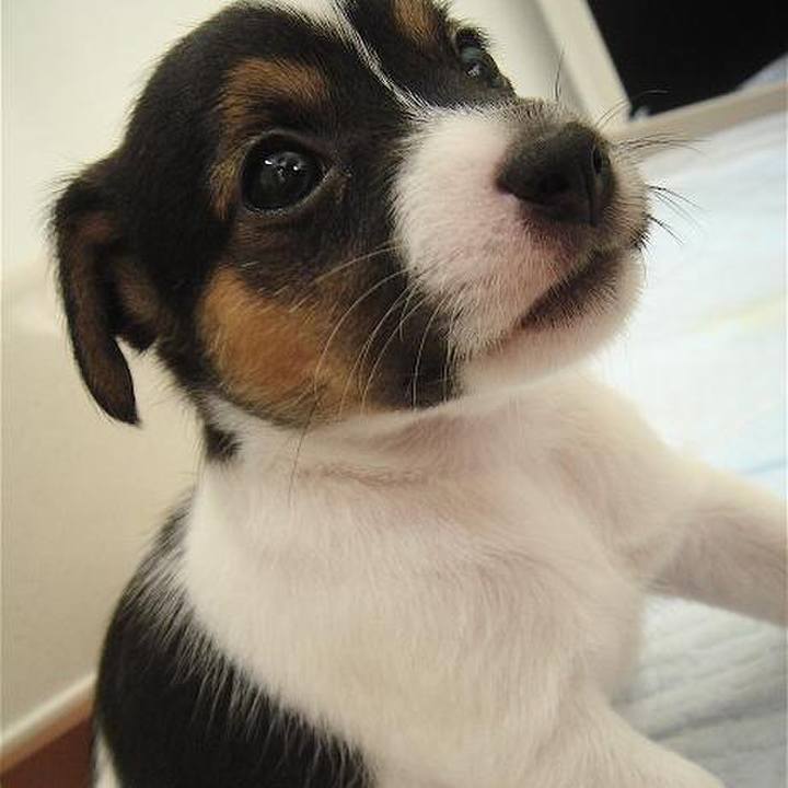 B2362e4b b602 40c1 92f0 9c9f30018357