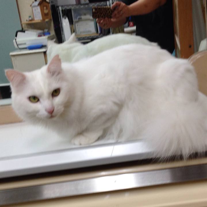 B2374c26 3c62 4971 a85b ee095bd06ef8