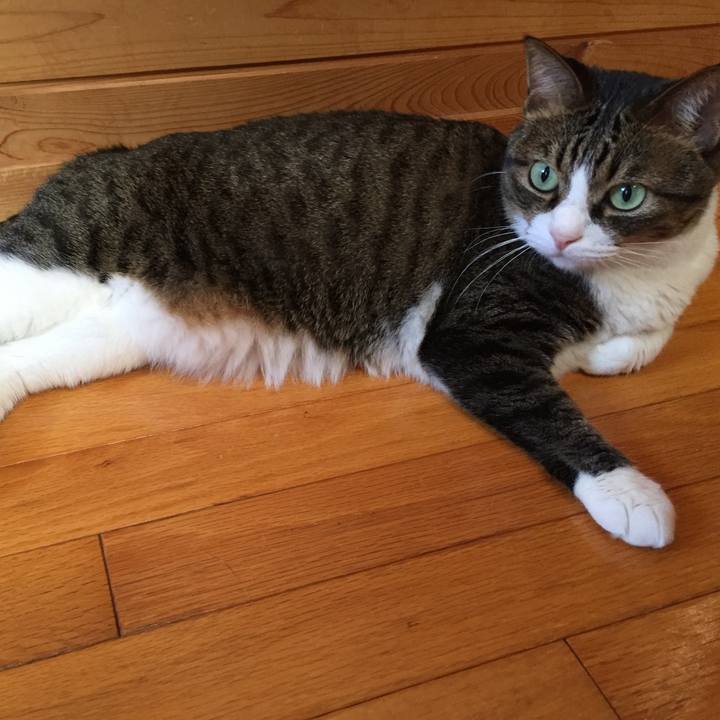 B237a116 8bdd 4ad6 85b4 0b59c9234e05