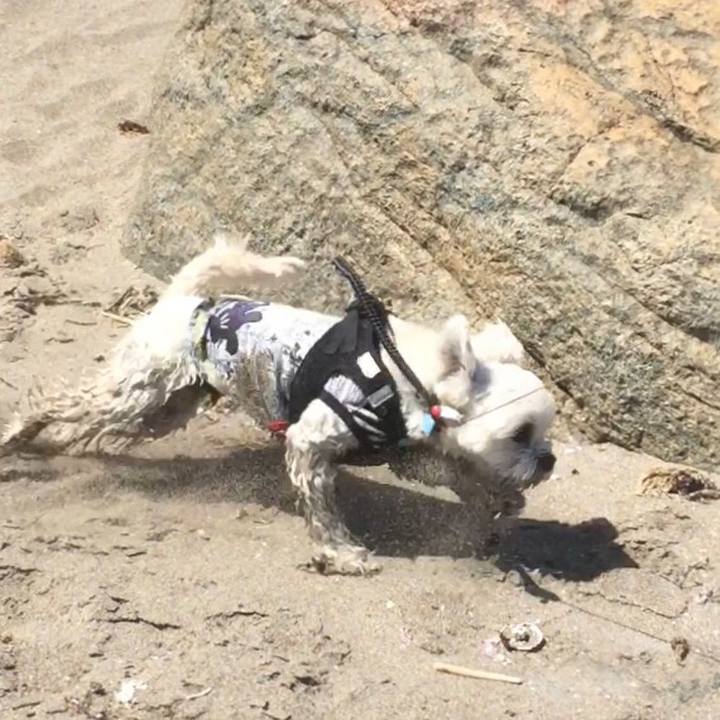 B237f4d6 5d2d 42e3 bb1a bd65c2abacd7