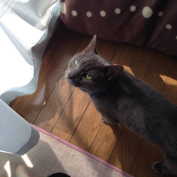 B237fd80 c097 4c75 846d 2fa4db28741c