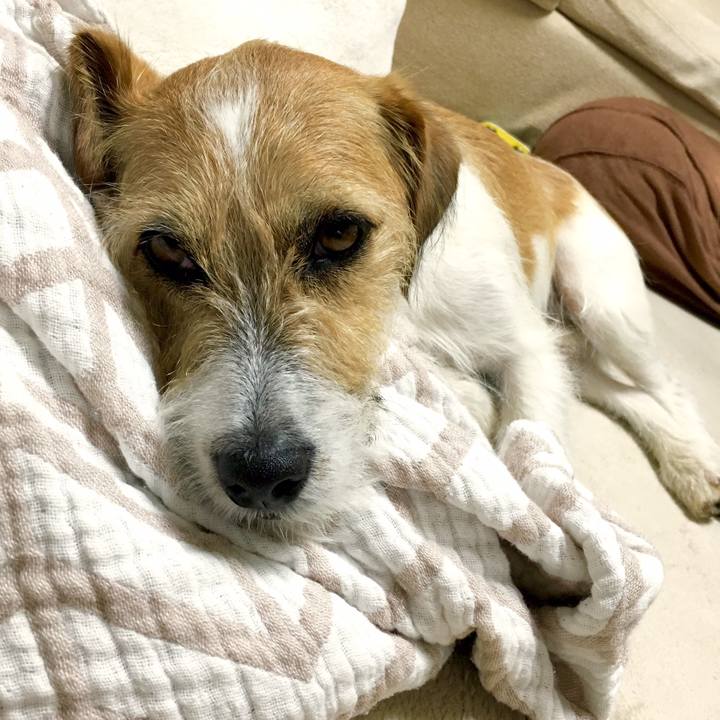 B23866dd 25ba 4954 93c4 3d68dde02617