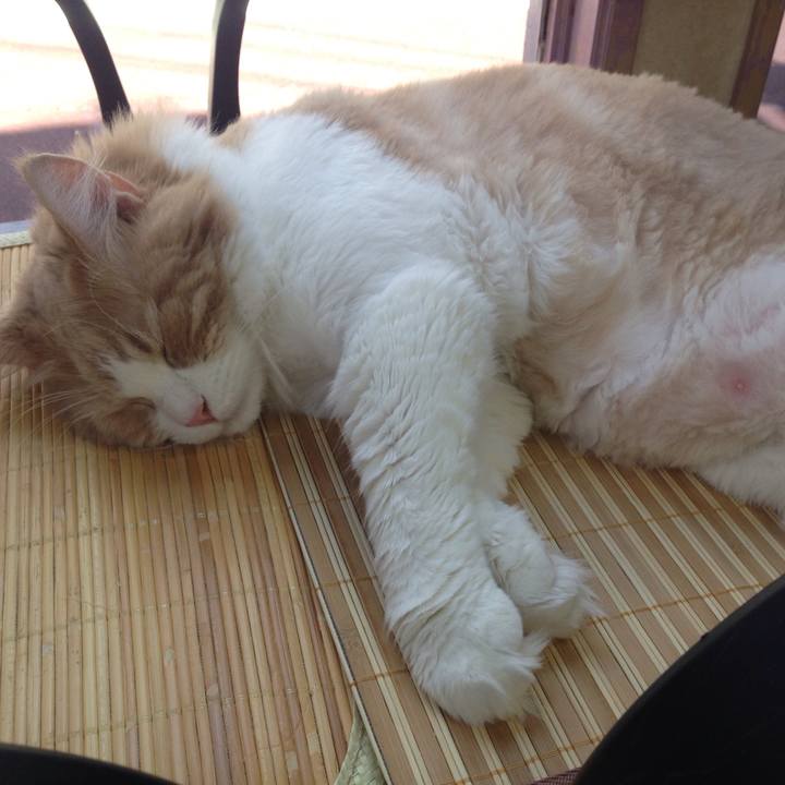 B238a3a7 0fb1 4a93 91a1 7d0cab02ba17