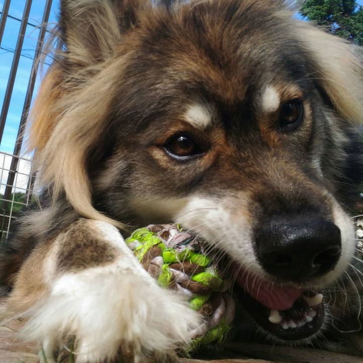 B238c71c a59b 4044 81ae f36bab08c5f0