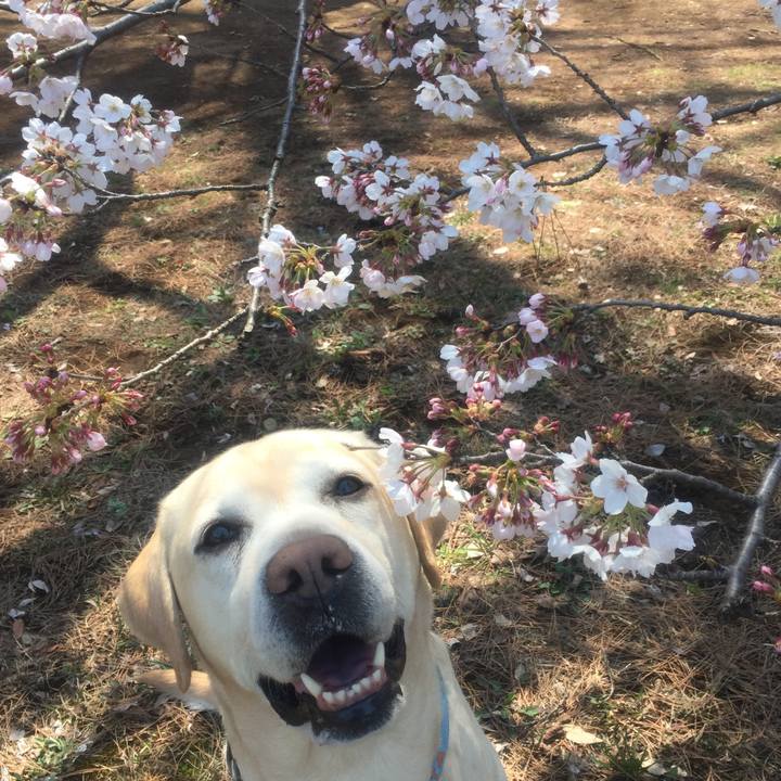 B238c8e7 4ee5 49a9 af8d d5a0bd19bd52