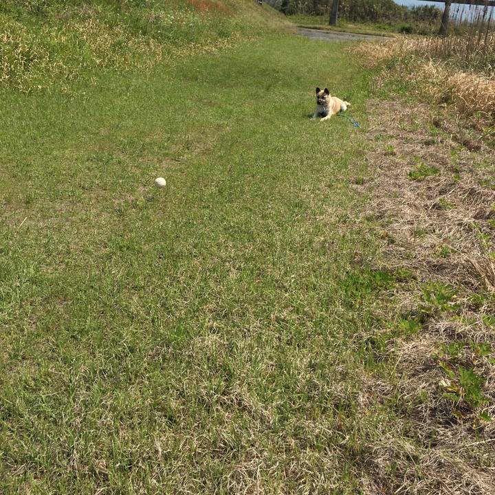 B238f4d0 fd6e 4e94 94c4 44f5b78fd39c