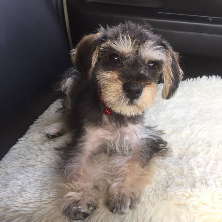 B238fdcb 39db 4d19 a45b 177bbe8b0c8d