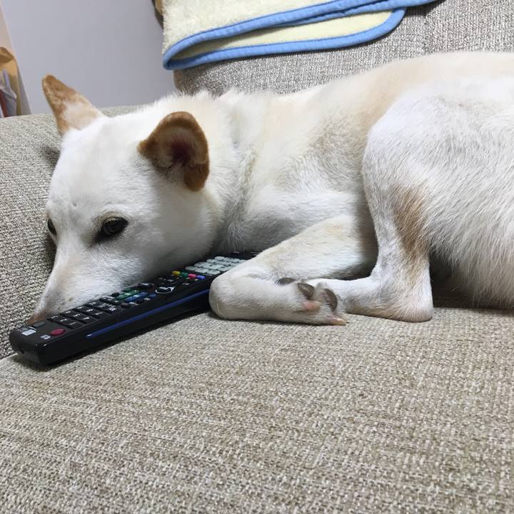 B239230c 2c61 4cd7 a109 33adee1a8605