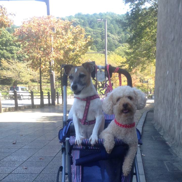 B239aea5 071a 4a3c bb7a b6726d08fb4f