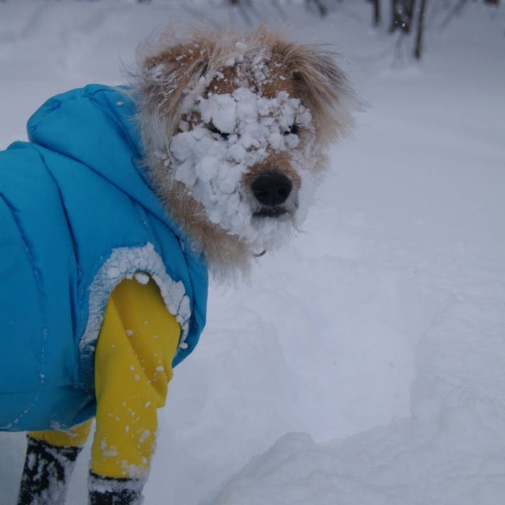 B23a8f22 b575 4fa7 933a 09f489c81910