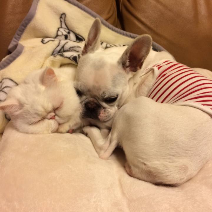 B23a96c0 8723 4e46 af9a 52c0fcbf6ba4