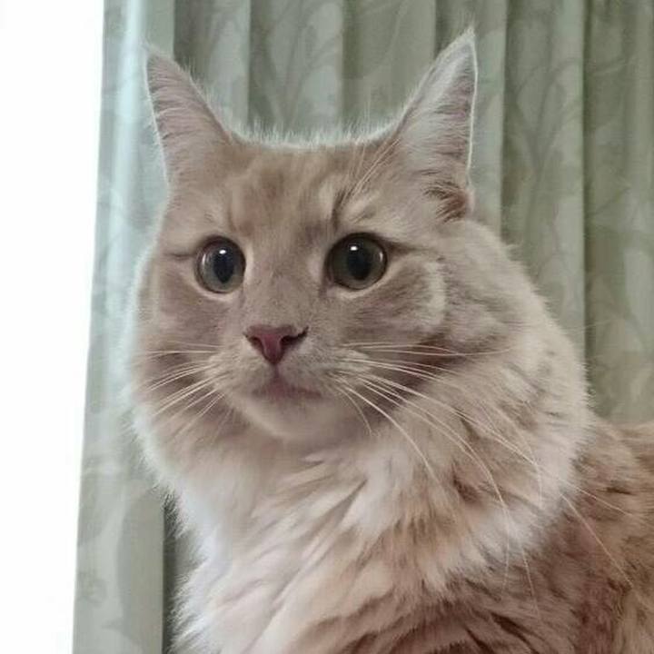 B23aa61f 57a2 417b 80ad c8c060840826