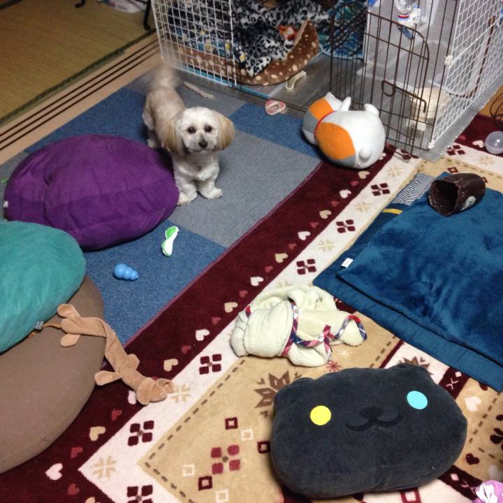 B23add58 111b 44c4 a4b6 b801f229fd16