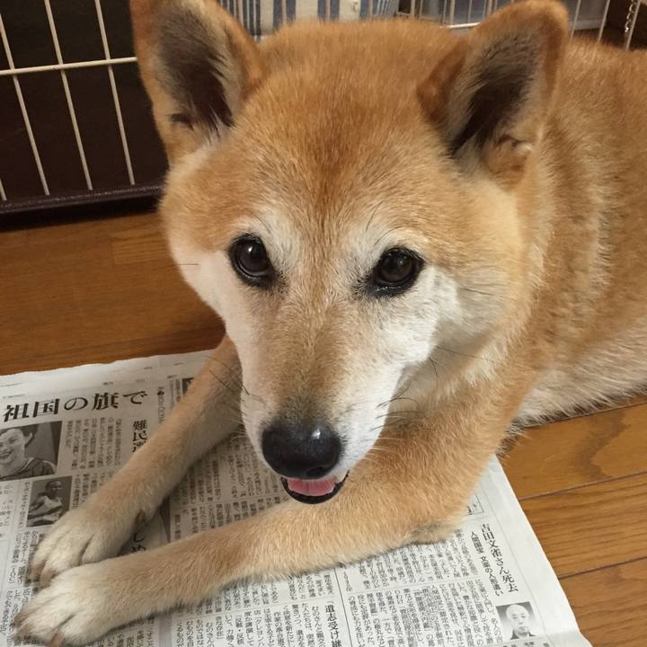 B23b15db 2aec 4f8b 9d85 e87e697efbe7