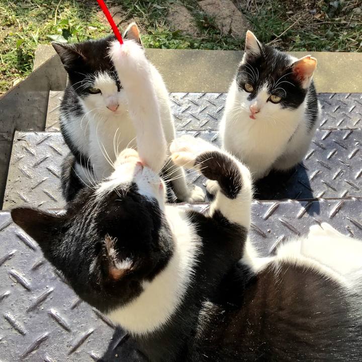 B23b619f 3099 449a bf8e b5ab307974ab