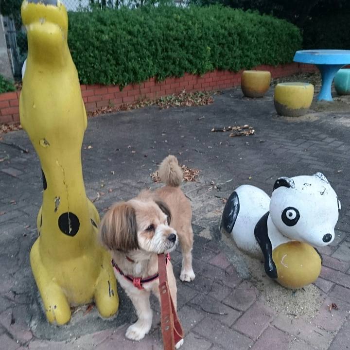 B23b65e7 b260 4567 a53d 0f2e20da27a5