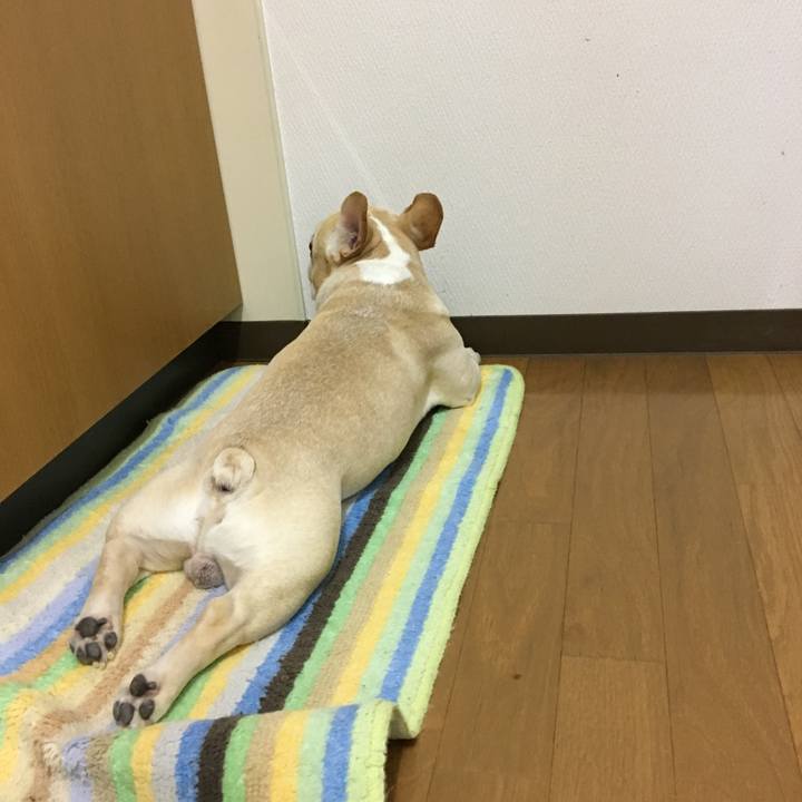 B23ba7d4 f392 4916 949c 9ccdafc53560